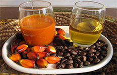 palm oil